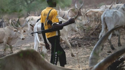 20 Herdsmen Barricade Delta Road, Rob Passengers