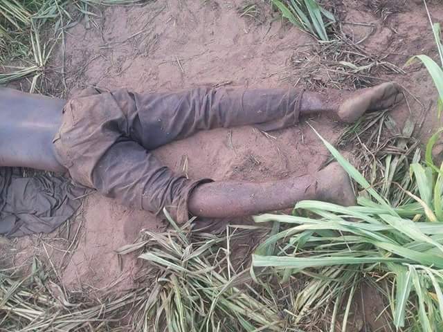 Herdsmen Strikes Again!!!DELSU Staff with 14 Children Murdered In His Farm By Fulani Herdsmen In Delta (Photos)