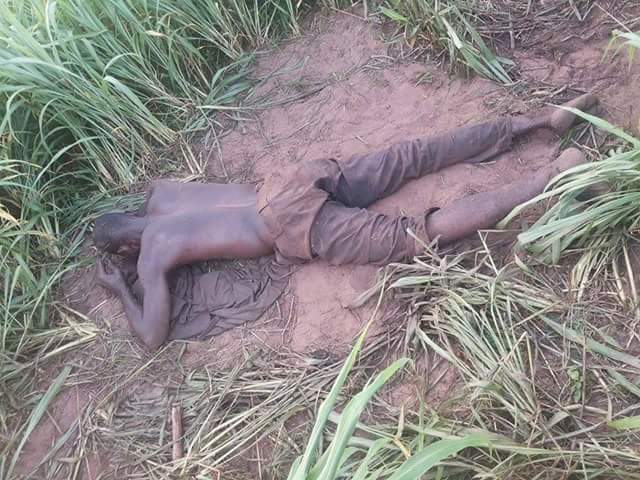 Herdsmen Strikes Again!!!DELSU Staff with 14 Children Murdered In His Farm By Fulani Herdsmen In Delta (Photos)  