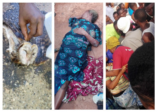 Is This For Real? See Video of the Lagos Woman Who Allegedly Transformed Into an Owl [See for Yourself]