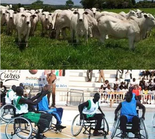 “Nigeria, A Country Where Cows Make It into The Constitution Before The Physically Challenged” - Ali Baba Reacts To The Grazing Bill