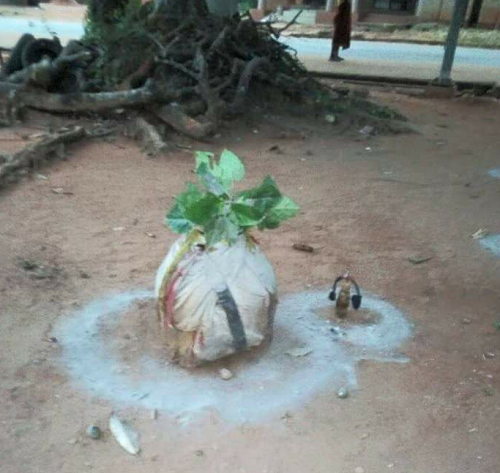 #AnambraDecides2017: "Vote And Die" As Charms/Juju Spotted At  A Pooling Unit [Photos]