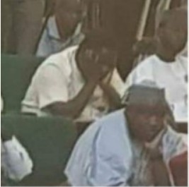 Femi Adesina Spotted Sleeping During Buhari’s 2018 Budget Presentation [Photos]