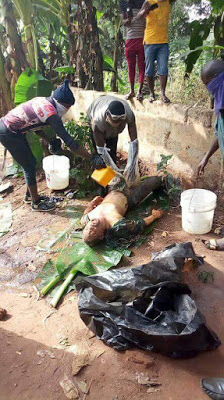 SHOCKER!!!Woman And Sons Kill Her Husband, Bury Him Under A Tree In South Eastern State[Graphic Photos]
