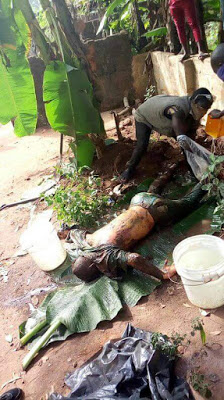 SHOCKER!!!Woman And Sons Kill Her Husband, Bury Him Under A Tree In South Eastern State[Graphic Photos]