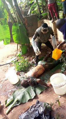 SHOCKER!!!Woman And Sons Kill Her Husband, Bury Him Under A Tree In South Eastern State[Graphic Photos]