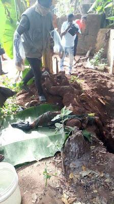 SHOCKER!!!Woman And Sons Kill Her Husband, Bury Him Under A Tree In South Eastern State[Graphic Photos]