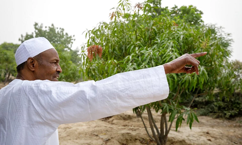 BREAKING!! President Buhari Appoints Dead Person  As Nigerian Press Council Chairman [Photos]