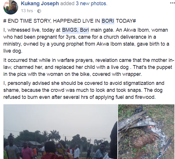 Serious Tension In Rivers As Woman Gives Birth To Real Dog After Being Pregnant For Many Years [Photos]