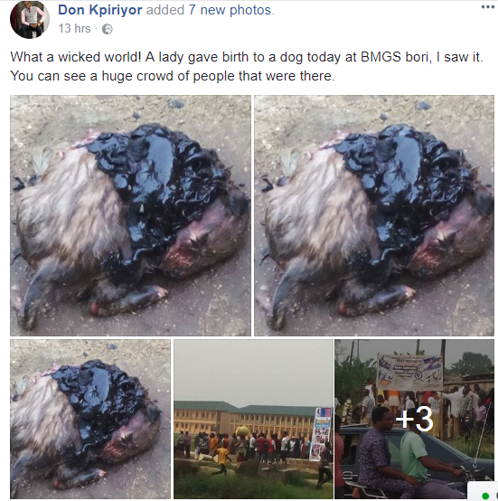 Serious Tension In Rivers As Woman Gives Birth To Real Dog After Being Pregnant For Many Years [Photos]