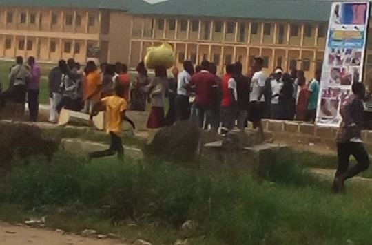 Serious Tension In Rivers As Woman Gives Birth To Real Dog After Being Pregnant For Many Years [Photos]