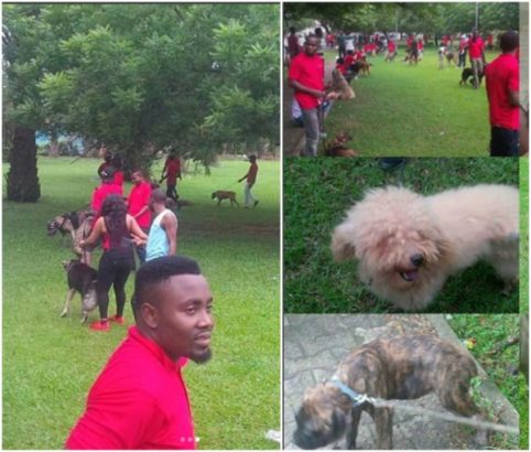 Beautiful Photos From The ‘Dog Carnival’ Held In Calabar Today