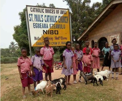 Primary School Gift Students Goats for Coming First 