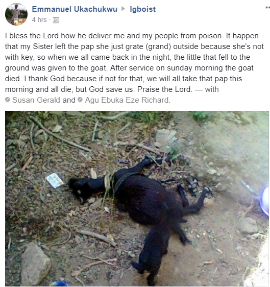 Goat Mysteriously Dies After Eating Part Of Food Meant For A Family [Photos]
