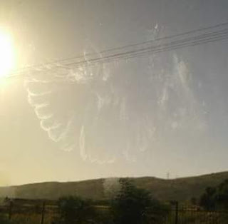 'Angel' Caught On Camera On Samuel At Prophet Akinbodunse Church [Photos]