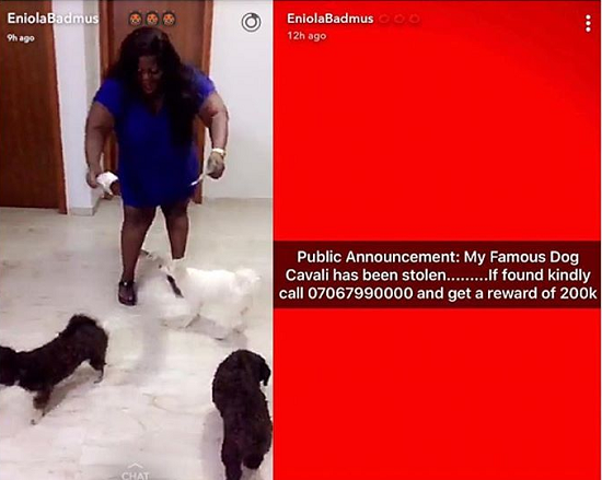 You Need to See the Huge Bounty Eniola Badmus Places On The Suspects That Stole Her Dog