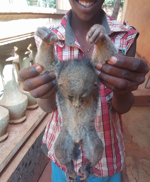 Boy Poses with Bush Baby After Being Killed in Enugu State [Photos]