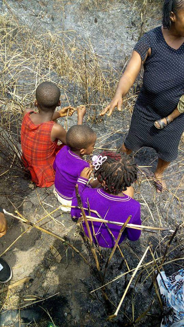 Endless Joy as Family Escape Death After Their Vehicle Somersaulted and Crashed Into Bush Along Ore Road [Photos]