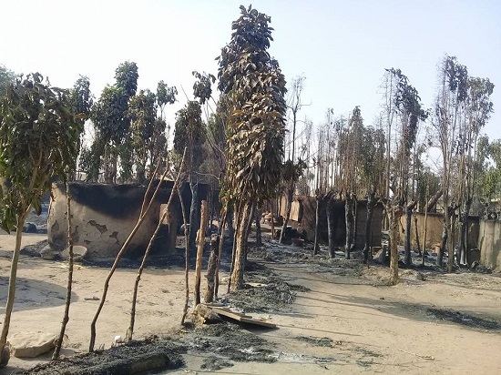 Fulani Herdsmen Strikes Again, Attack Adamawa Community, Kill Scores of Villagers [Graphics photos]