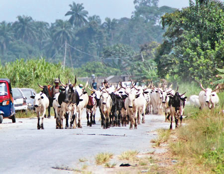 BREAKING: Fulani Herdsmen Strikes Again, Kill Four In Benue