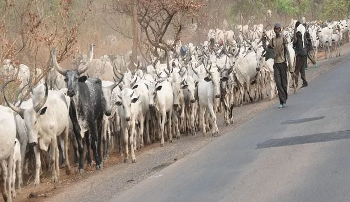 Ex Governor Engage in Gun Battle with Fulani Herdsmen