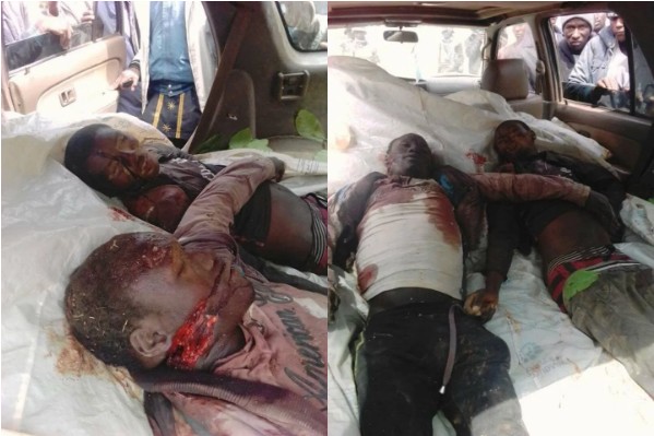 Two Herdsmen and Their Cows Allegedly Killed by Angry Youths in Plateau State [Graphic Photos]