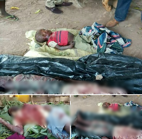 Fulani Herdsmen Strikes Again, Attack Wukari LGA In Taraba, Kills 3 [Photos]