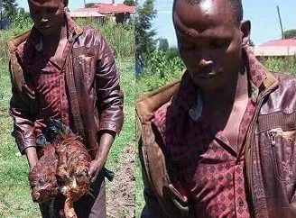 Randy 33-Year-Old Man Rapes Two Of His Neighbor’s Hen To Death [Photos]
