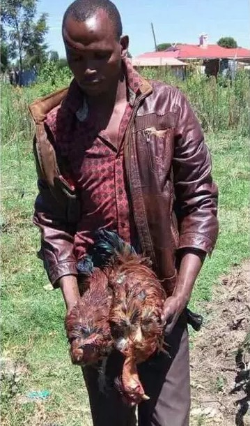 Randy 33-Year-Old Man Rapes Two Of His Neighbor’s Hen To Death [Photos]