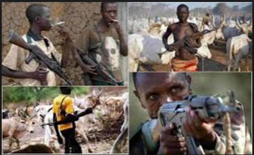 We Know The Sponsors Of Herdsmen But Can’t Arrest Them– Police Chief Reveals
