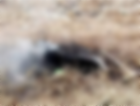 Mentally Deranged Woman Caught with Human Body Parts In Delta Burnt By Youths [Graphic Photos]