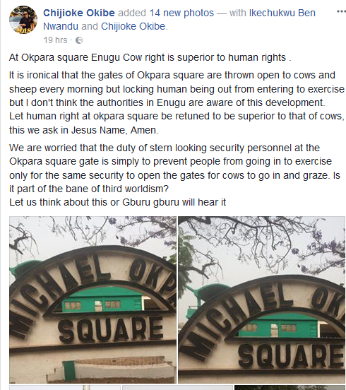Lawyer Pours Out His Disappointment After Spotting Cows at Michael Okpara Square In Enugu [Photos]