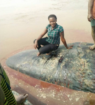 Photos Of Giant Whale Killed In Ondo State After It Was Washed Up To The Shore