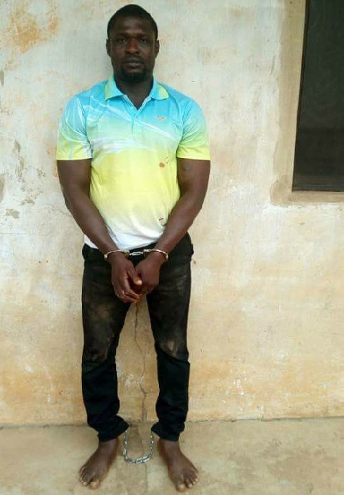 Notorious Assassin Who Murdered Hamburger, A Union Chairman in Oshodi, Arrested by Police [Photos]
