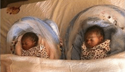80-Yr-Old Alaafin of Oyo Welcomes Twins with One Of His Wives [photos]