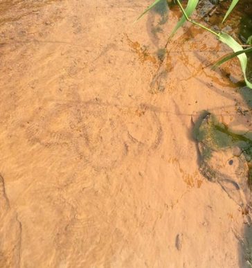 Surprised Crowd Gathers As Allah ‘Appears’ In Muslim Prayer Ground In Ogun [Photos]