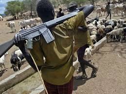 Ex Governor Engage in Gun Battle with Fulani Herdsmen