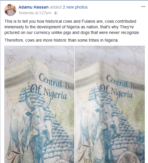 “Cows Are Historic More Than Some Tribes in Nigeria” – Young Fulani Man Says [Photos]