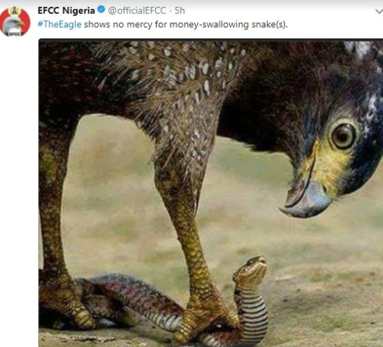Finally, JAMB Snake And EFCC Eagle Clashed 