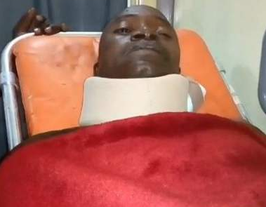 Lion Mauled A Zookeeper At Gamji Gate Amusement Park, Kaduna