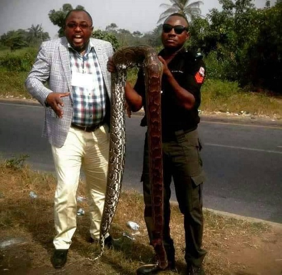 Man Poses with Python Along with A Policeman, calls it the Snake That Swallowed N36M JAMB money [Photo]