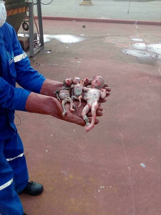 Sanitation Worker Finds Dead Triplets Dumped In A Dustbin [Photos]