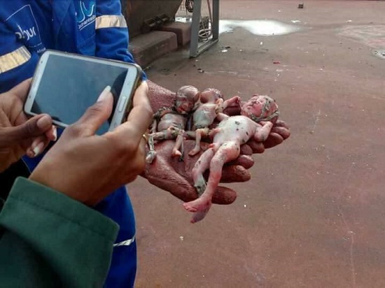 Sanitation Worker Finds Dead Triplets Dumped In A Dustbin [Photos]