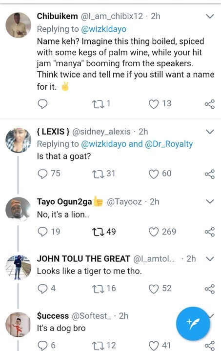 Star Boy, Wizkid Flaunts New Pet Goat; Asks What He Should Name It Star Boy, Wizkid Flaunts New Pet Goat; Asks What He Should Name It