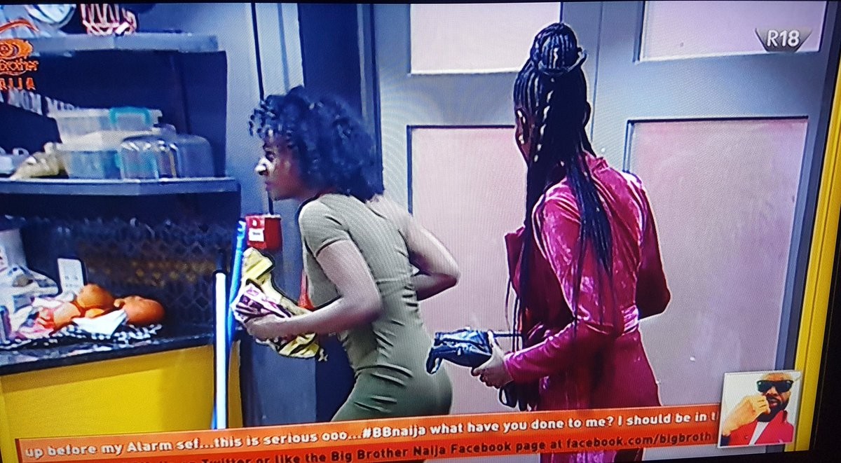 #BBNaija: Khloe and Anto Sneaked into Big Brother House While Other Housemates Were Fast Asleep [Video]