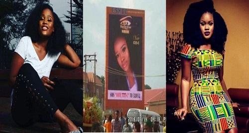 #BBNaija: Cee-C’s Fans Erect Massive Billboard On the Street for Campaign [Photo]