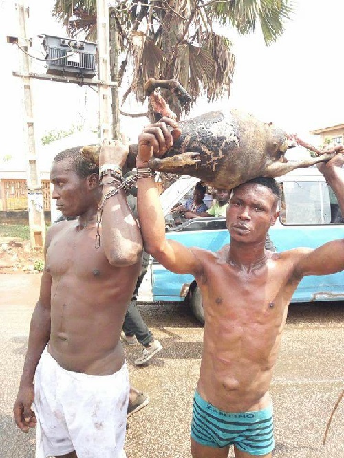 You Need to See What Happened to These Robbers After They Were Caught Roasting a Stolen Goat [Photos]