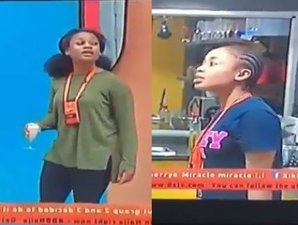 #BBNaija: That Moment Nina and Cee-C Almost Came to Blows in The Big Brother House [Videos]