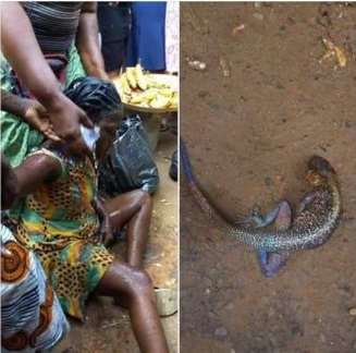 After 2 Years of Pregnancy in Rivers State, Lady Allegedly Gives Birth to A Lizard 