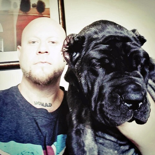 Meet The World’s Biggest Puppy That Is Taller Than Average Human [Photos]